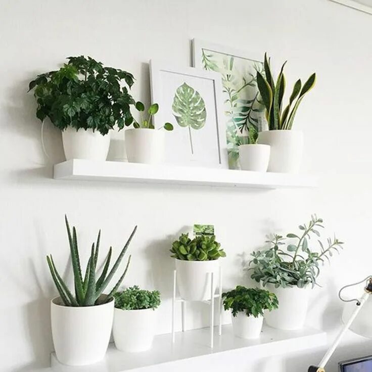 Озон купить декор для дома 42 Amazing Indoor Garden Decorations Tips and Ideas Plant decor indoor, Indoor p