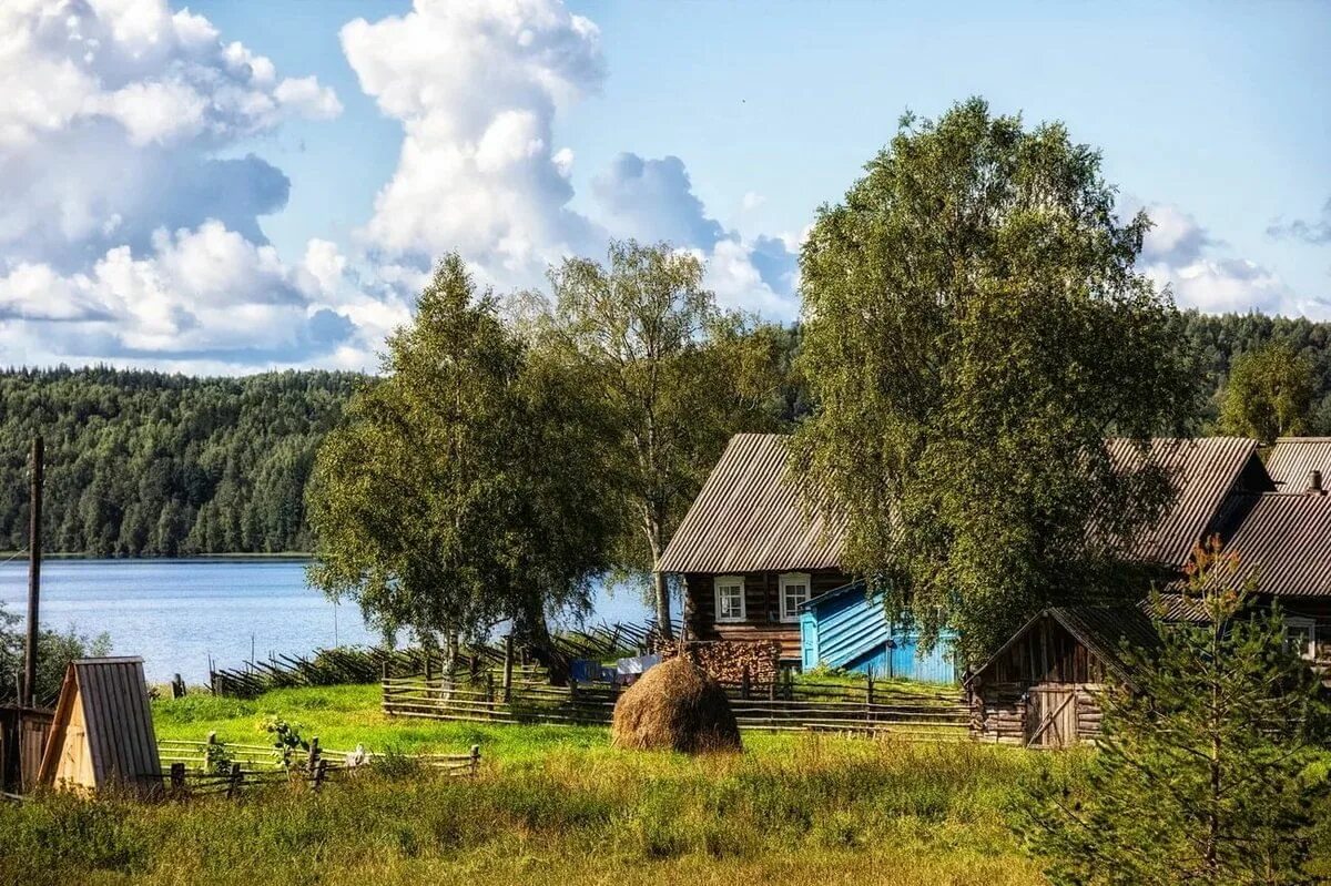 Озон в деревне фото Программа "И это всё моя деревня" 2020, Репьевский район - дата и место проведен