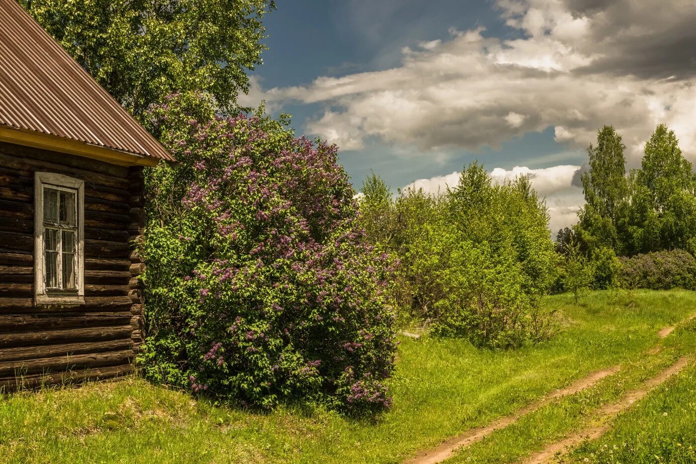 Озон в деревне фото The best village on earth is the one where you spent your childhood. 2023 Канику