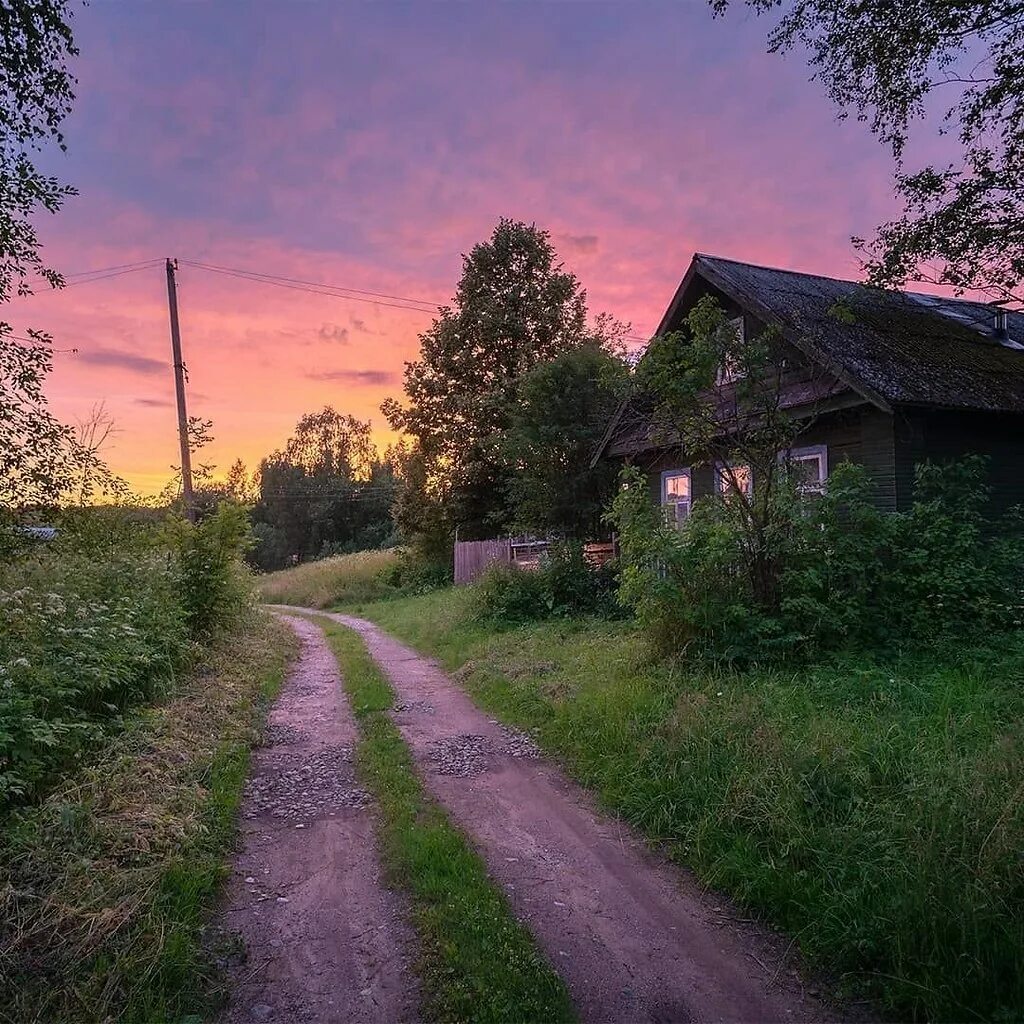 Озон в деревне фото Феерический закат в деревне Подольская, Новгородская область.