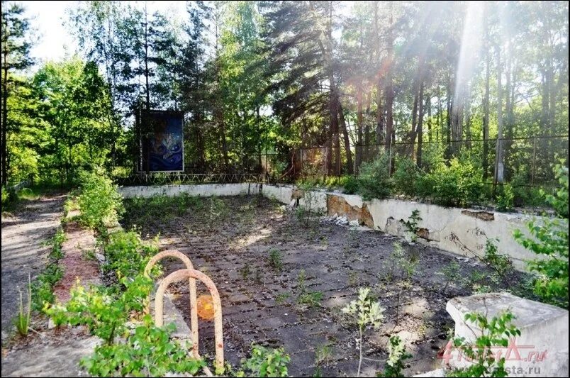 П л лесное фото п Заброшенный лагерь лесной: найдено 84 изображений