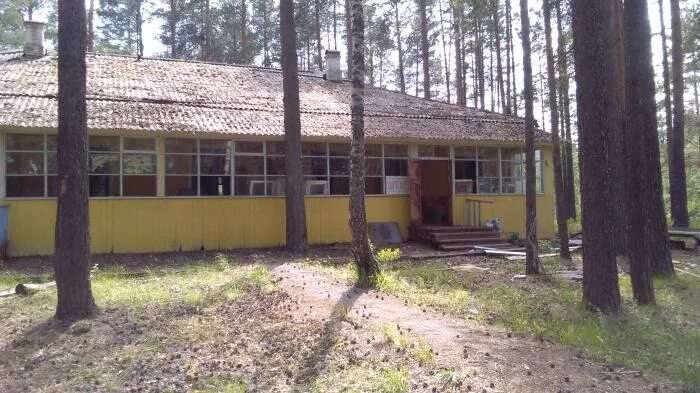 П л лесное фото п Развалины пионерлагеря "Лесная Сказка"