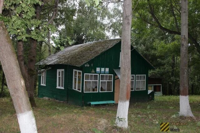 П л лесное фото п Л лесной