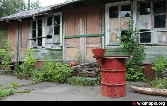 П л лесное фото п Бывший п/л "Лесные зори" (ЛИИ им.Громова, г.Жуковский)