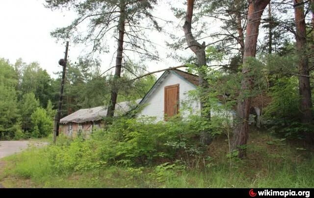П л лесное фото п Бывший п/л "Лесные зори" (ЛИИ им.Громова, г.Жуковский)