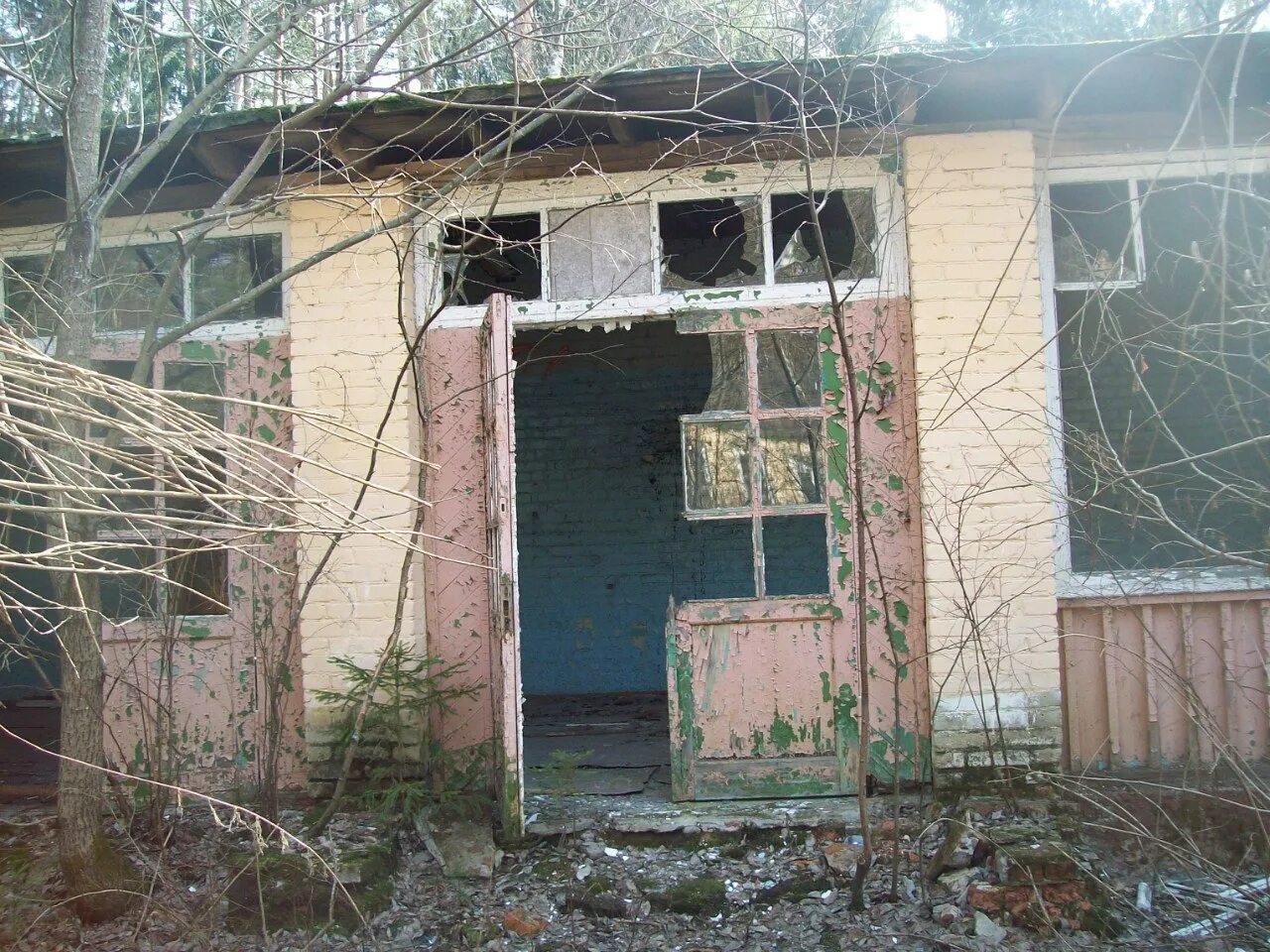 П л лесное фото п П/л "Лесная поляна" sayt