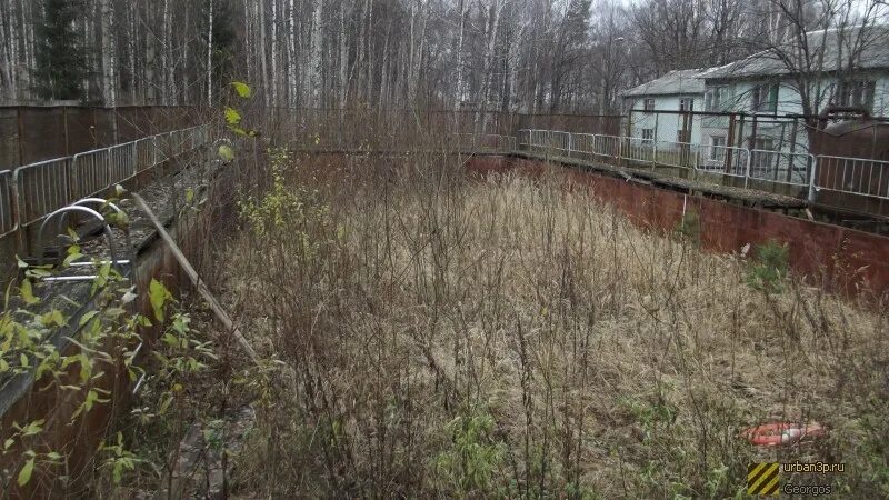 П л лесное фото п Детский лагерь в Лесном Городке, Одинцовский район Природные истории Фотогалерея