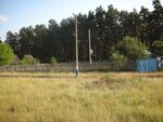 П лесное фото П лесной