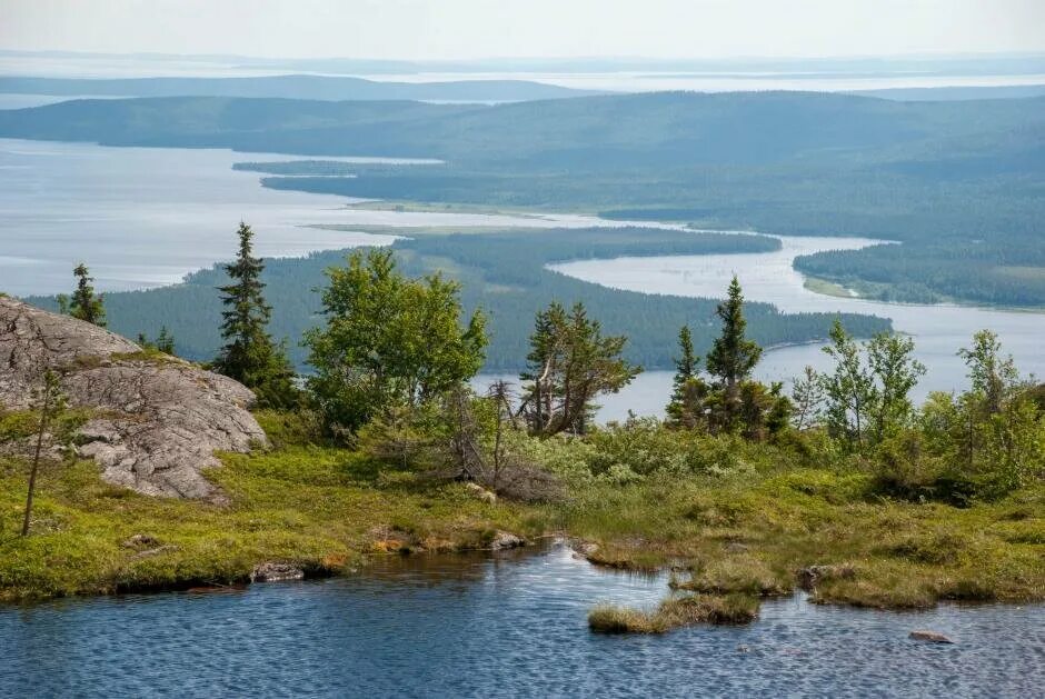 Паанаярви национальный парк фото Топ-5 самых красивых мест в Карелии СканТур - Путешествия по России Дзен