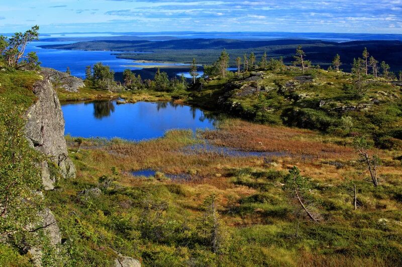 Паанаярви национальный парк фото Национальный парк Паанаярви. Карелия ПоХодуДела.ру