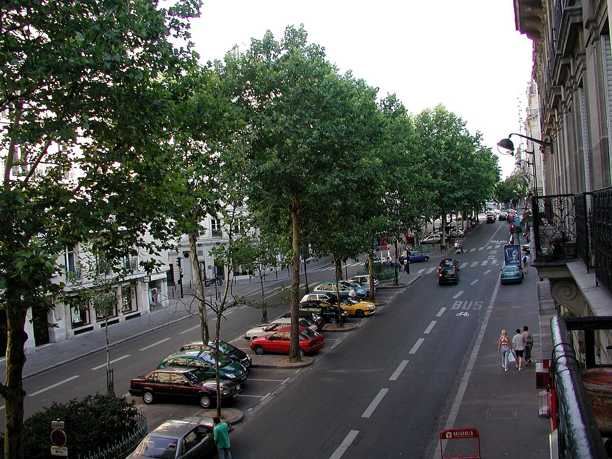 Париж бул профсоюзов 15 фото File:Boulevard Raspail (82932835).jpg - Wikimedia Commons