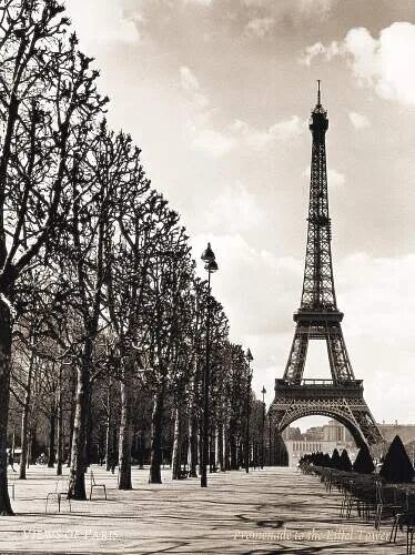 Париж черно белое фото eiffel-tower-black-white Eiffel tower, Eiffel tower photography, Tower