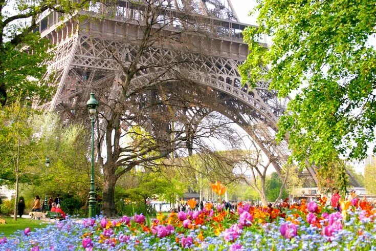 Париж в марте фото Paris in Spring Eiffel Tower - Falling Off Bicycles Paris in spring, Springtime 