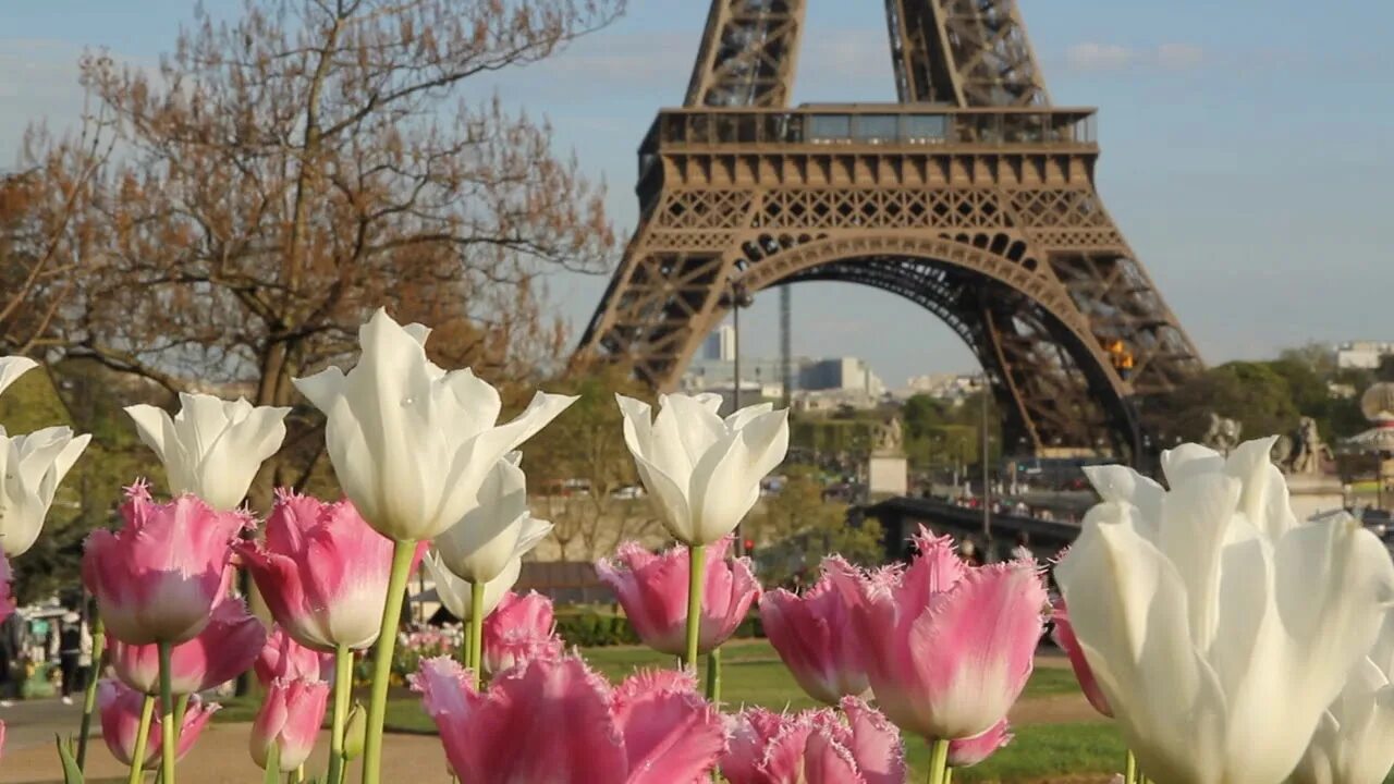 Париж в марте фото Tatiana Eva Marie & The Avalon Jazz Band - April in Paris Full Album Visualizer 