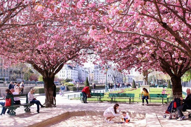 Париж в марте фото Complete Guide to Blossom Season in Paris The Glittering Unknown Paris in april,