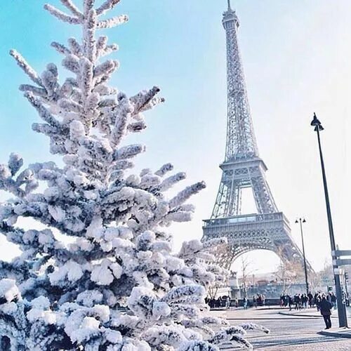 Париж зимой фото Pin by Loren McCarty on Winter Wonder Paris, Eiffel tower pictures, Paris photos