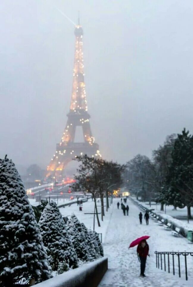 Париж зимой фото Experience the Magic of Paris in Winter