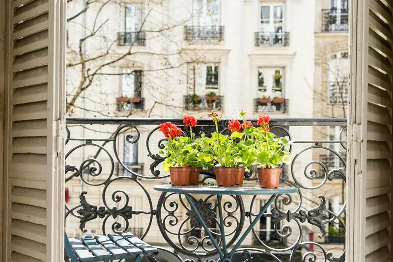 Парижские окна и балконы фото Red Geraniums in a Paris, France Market, with Euro Price Sign Stock Photo - Imag