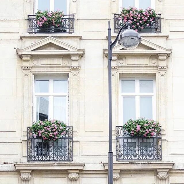 Парижские окна и балконы фото Juliet balconies with cascading flowers ✨ ( via @georgiannalane) Paris photograp