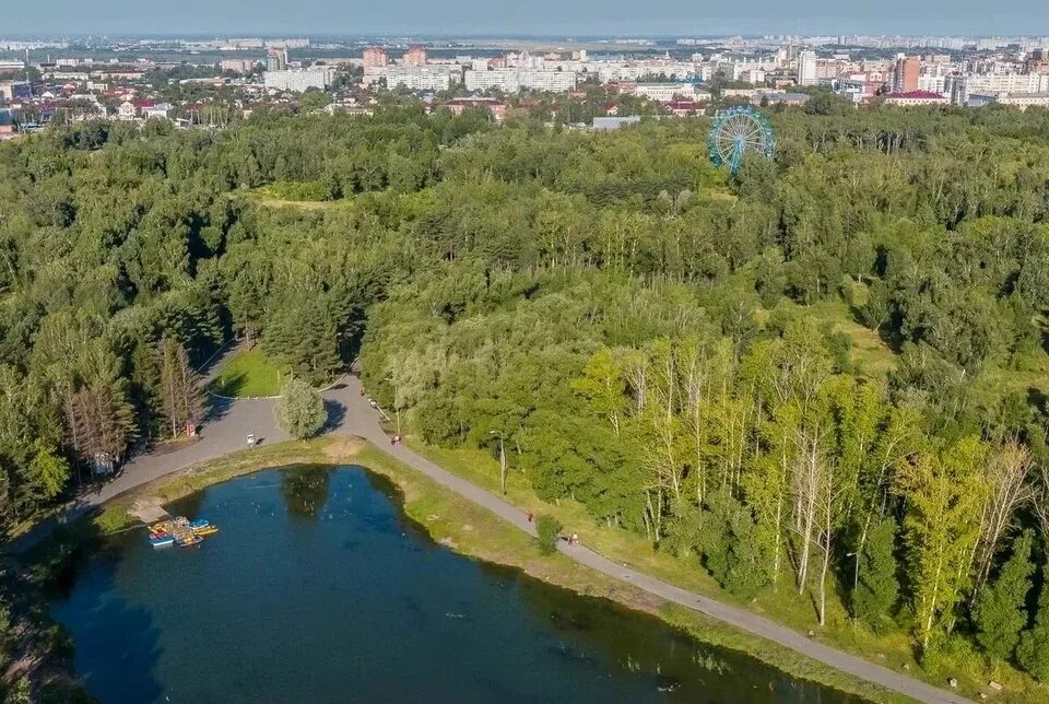 Парк 30 летия влксм омск фото Пока омская администрация запретила обрезку 30 лиственниц в парке 30-летия ВЛКСМ