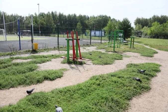 Парк 300 летия омска фото 20 лет назад был заложен парк 300-летия Омска: он стал жемчужиной города или воп