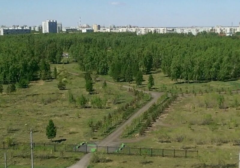 Парк 300 летия омска фото В районе парка 300-летия Омска появилась бесплатная парковка Последние Новости О