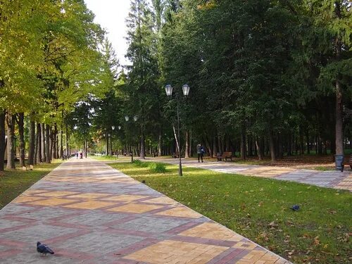 Парк 50 летия муром фото В октябре мы увидим обновленный парк. Радио Муром