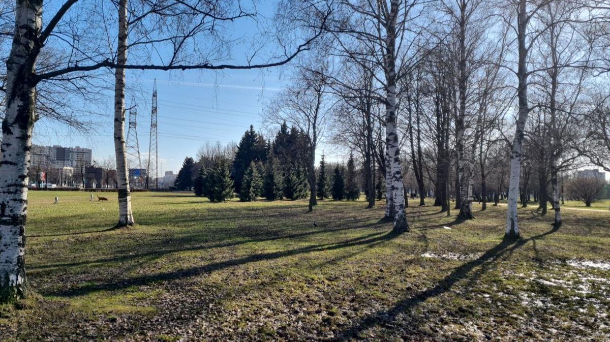 Парк академика сахарова санкт петербург фото Парк Сахарова хотят "переустроить": жители против, делом заинтересовался следком
