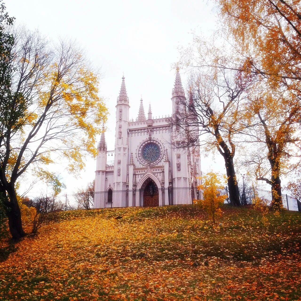 Парк александрия санкт петербург фото Петергоф Николая I. Парк Александрия - экскурсия на "Тонкостях туризма"
