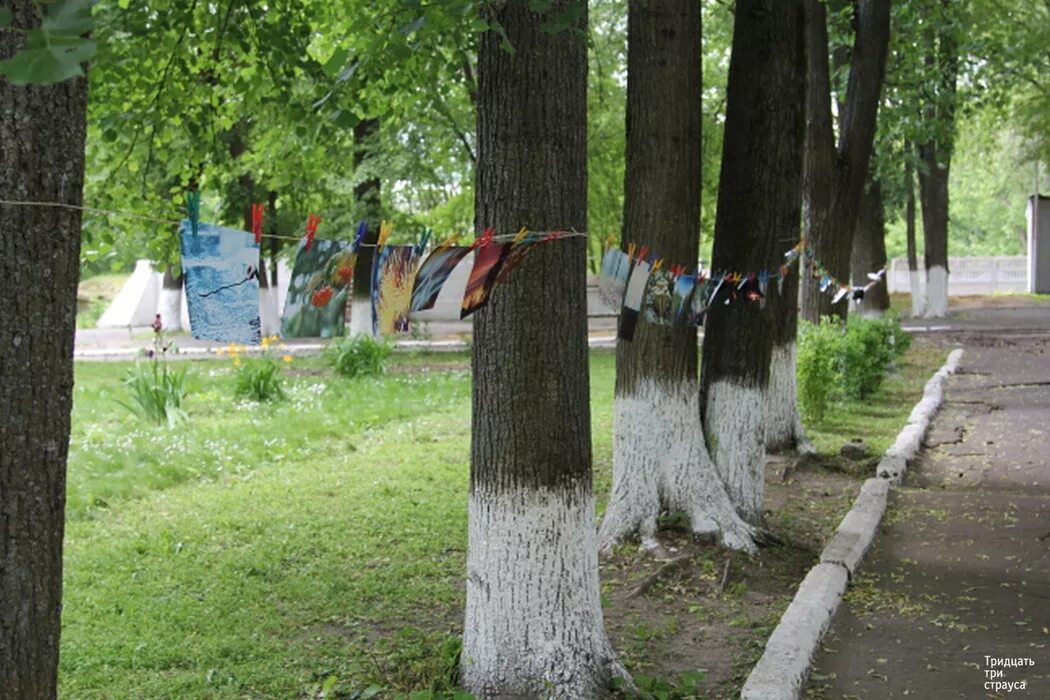 Парк александров фото Фотосушка в Парке культуры и отдыха г.Александров, 12.06.2015 - Лёгкое общение н