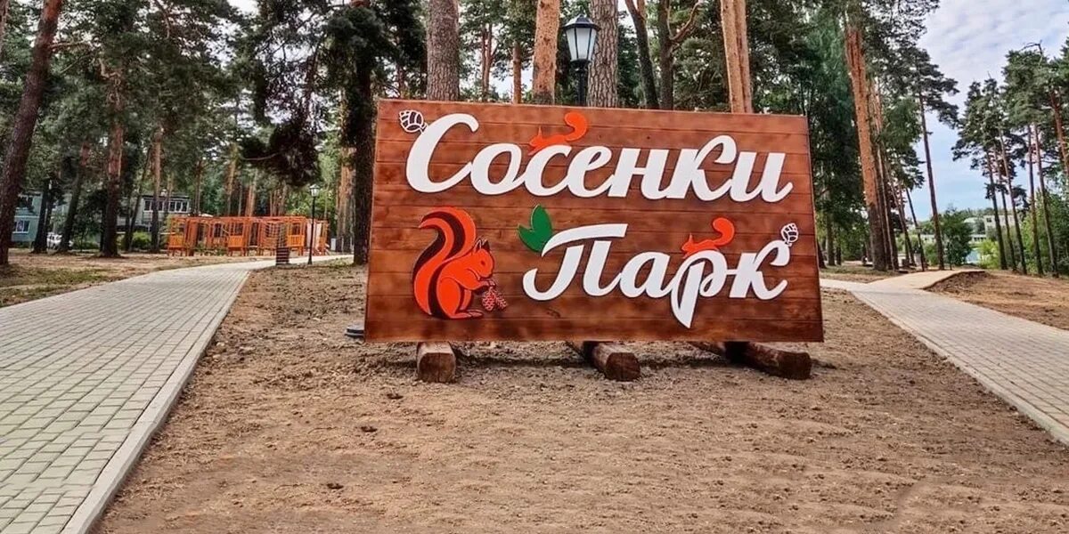 Парк александров фото После благоустройства в городском парке Александрова "Сосенки" появились арт-объ