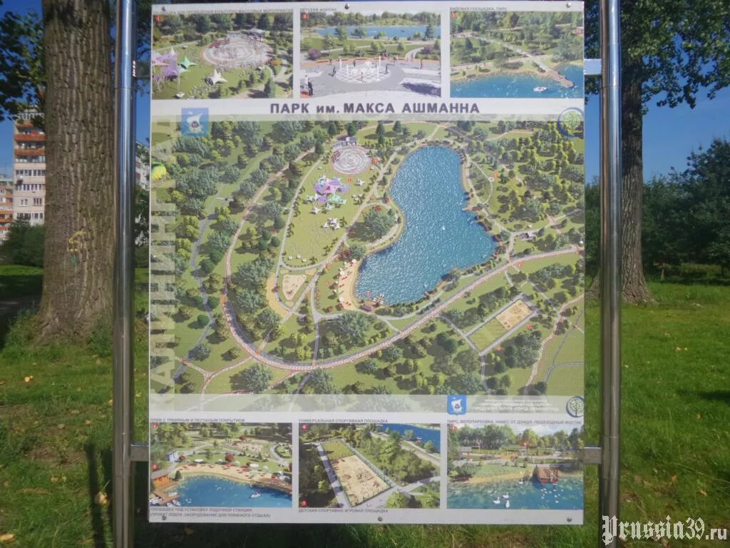 Парк ашмана в калининграде фото Фотография - Парк имени Макса Ашманна
