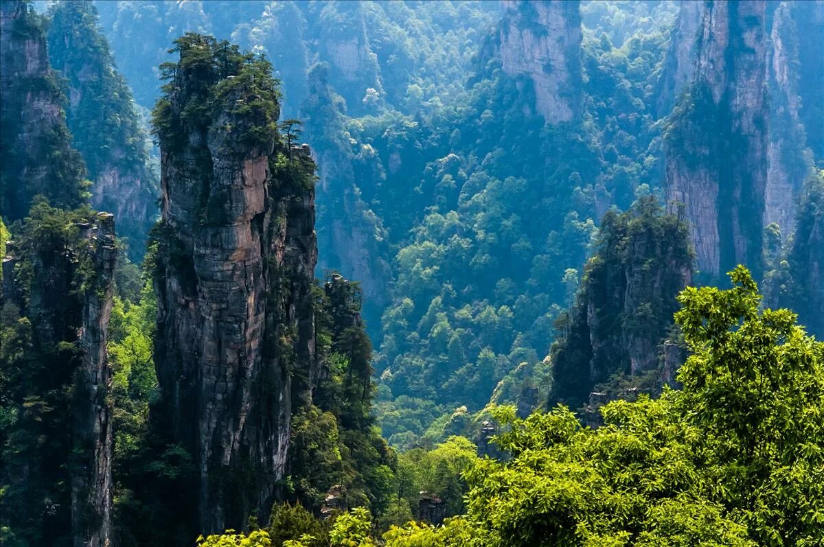 Парк аватар в китае фото Фото-отчеты о путешествиях: День шестой. Горы Аватара (Тяньцзышань)