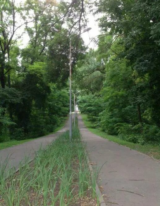 Парк авиаторов ростов на дону фото Парк авиаторов в ростове на дону - Фото