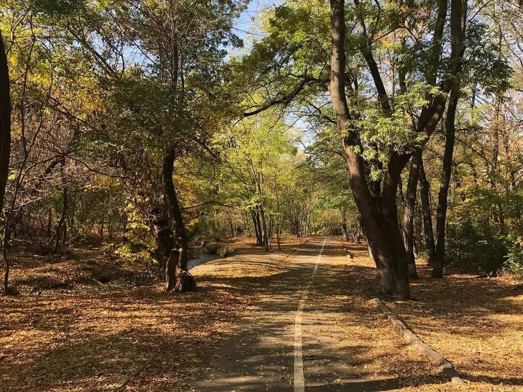 Парк авиаторов ростов на дону фото Парк авиаторов в ростове на дону - Фото