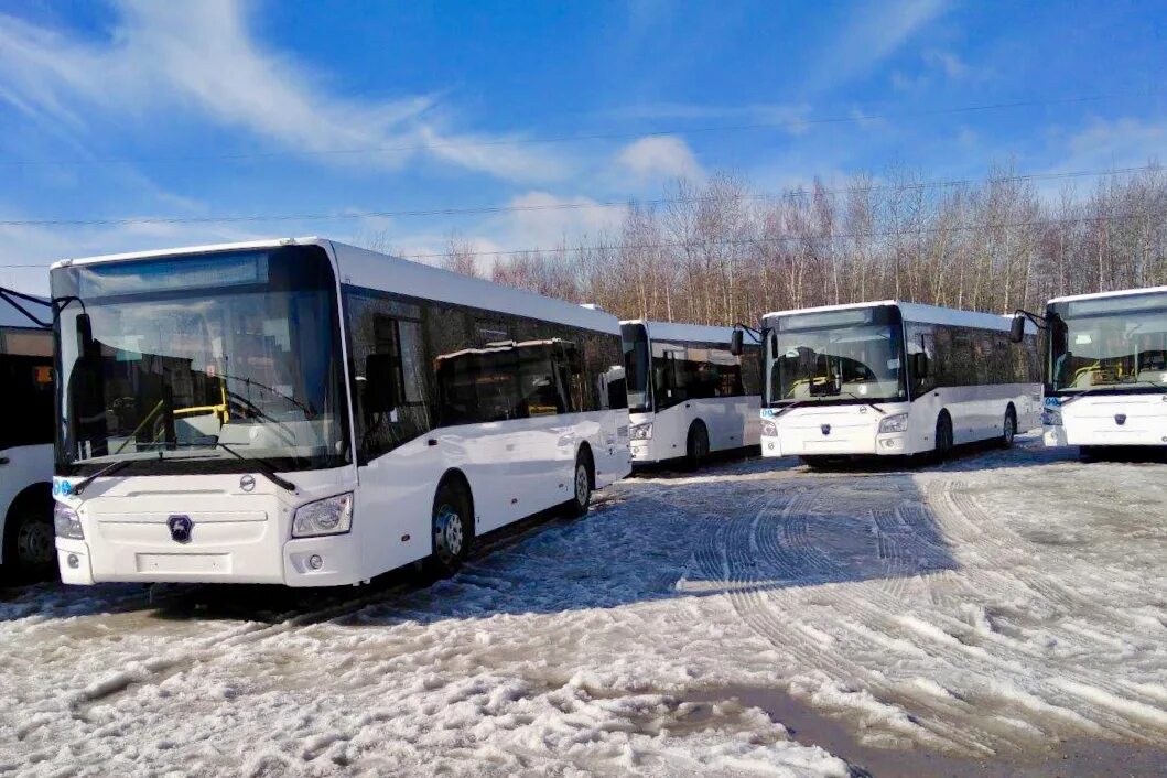 Парк автобус город красноярск фото МКУ Красноярскгортранс - На городские маршруты выйдут более 70 новых автобусов