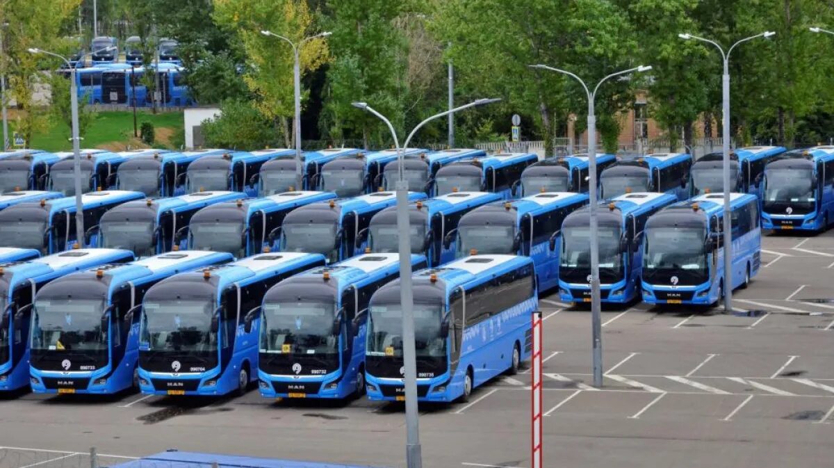 Парк автобус город красноярск фото В Севастополе обновится автобусный парк - Новости Крыма - Вести Крым