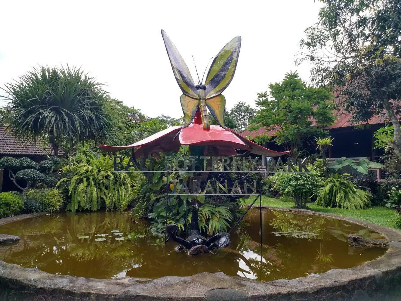 Парк бабочек фото Bali Butterfly Park - Location Map, Cost of Admission & Opening Hours