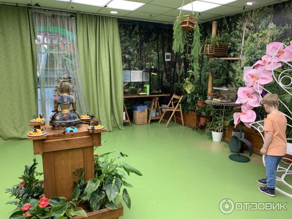 Парк бабочек приморский просп 72 фото Отзыв о Парк бабочек в ТРЦ "Питерлэнд" (Россия, Санкт-Петербург) Невероятно крас