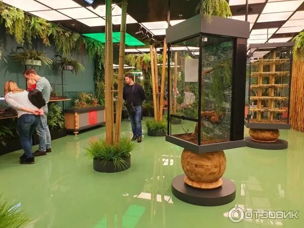 Парк бабочек просп энгельса 154 фото Отзыв о Парк бабочек в ТРК Гранд Каньон (Россия, Санкт-Петербург) Волшебно!