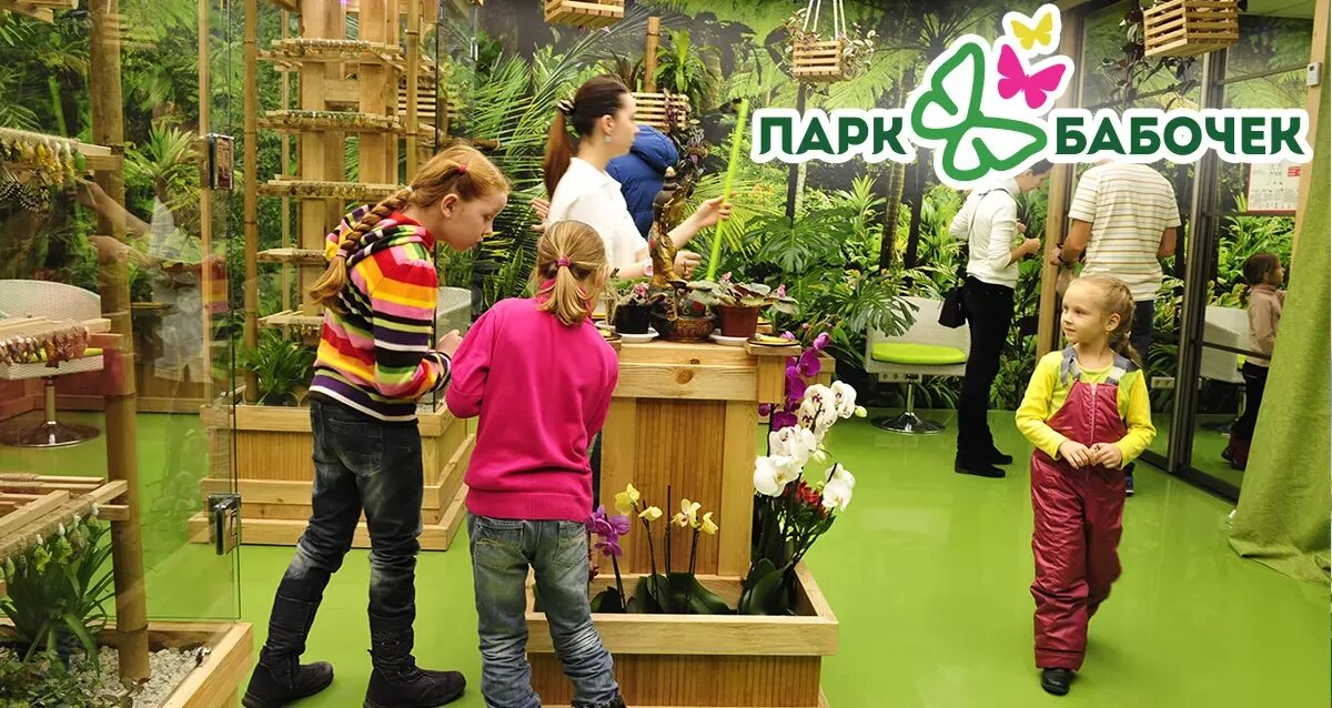 Парк бабочек просп энгельса 154 фото Бесплатный купон: 175 р. за билет от "Парка бабочек" в ТРЦ "Галерея" - акция до 
