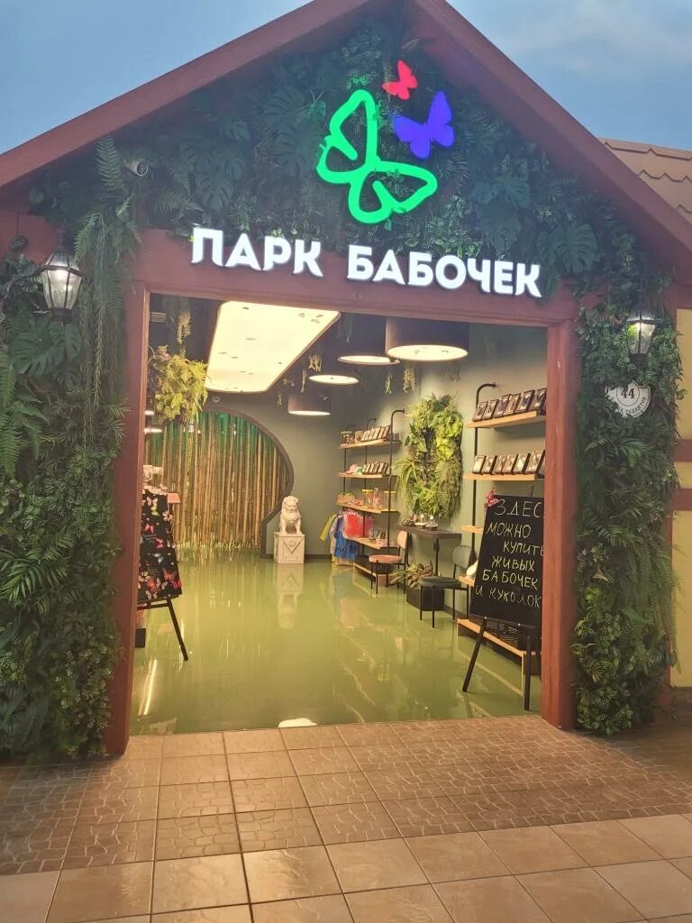 Парк бабочек просп энгельса 154 фото Парк Бабочек, ТРК Гранд-Каньон, Санкт-Петербург отзывы