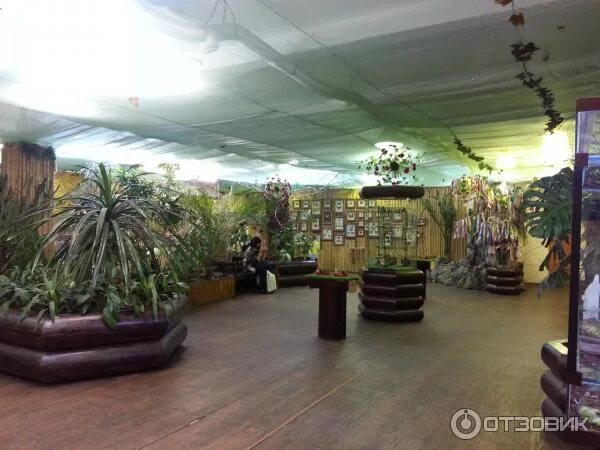 Парк бабочек просп космонавтов 108д фото Отзыв о Парк Бабочек (Россия, Екатеринбург) Частичка тропиков в каменных джунгля