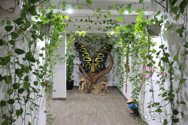 Парк бабочек просп космонавтов 108д фото Отзыв о Парк бабочек Butterfly Garden (ОАЭ, Дубай) Счастье - бабочка (английская