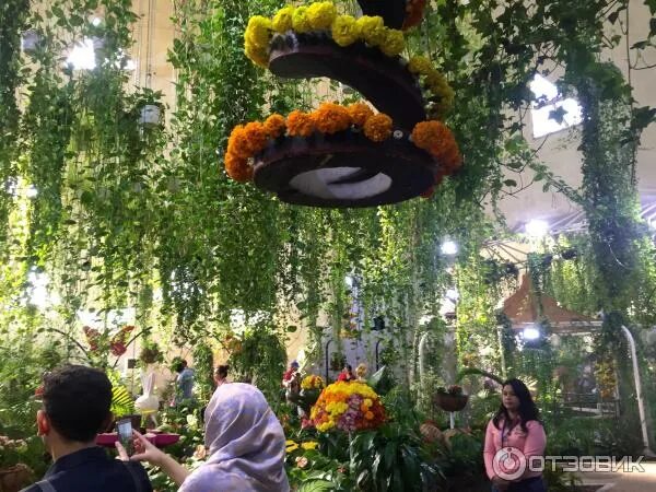Парк бабочек в дубае фото Отзыв о Парк бабочек Butterfly Garden (ОАЭ, Дубай) Огромное количество бабочек в