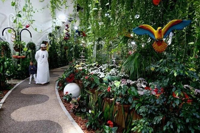 Парк бабочек в дубае фото Dubai Miracle, Butterfly Garden Tour with Roundtrip Transfers 2024 - Viator
