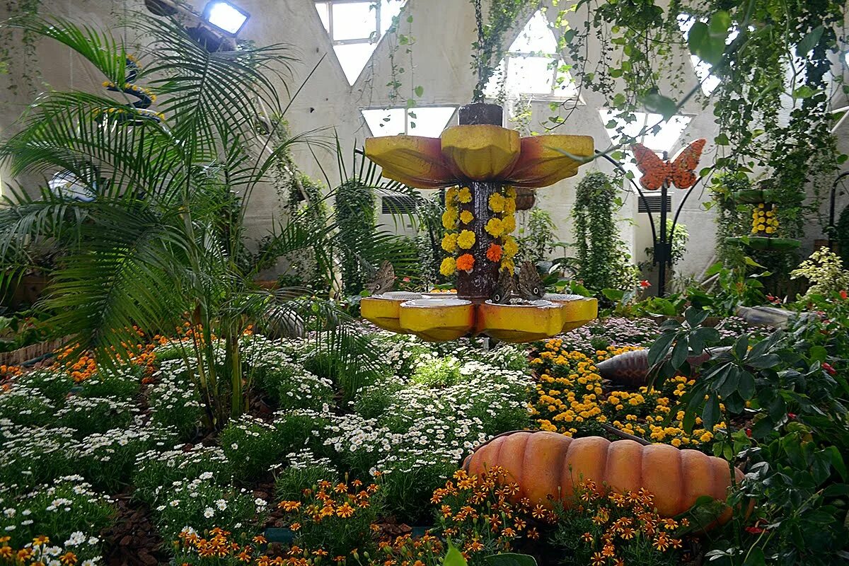Парк бабочек в дубае фото Картинки DUBAI BUTTERFLY GARDEN