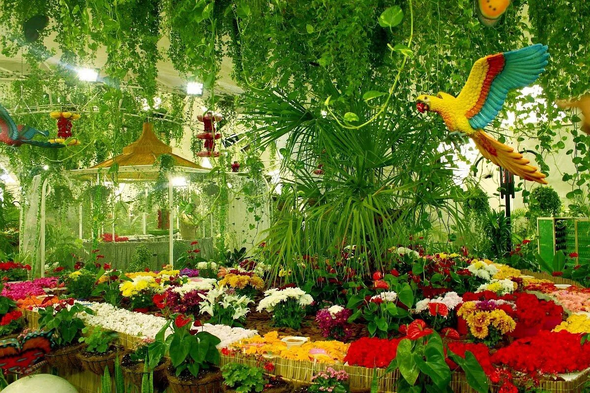Парк бабочек в дубае фото Dubai Butterfly Garden, Дубай: лучшие советы перед посещением - Tripadvisor