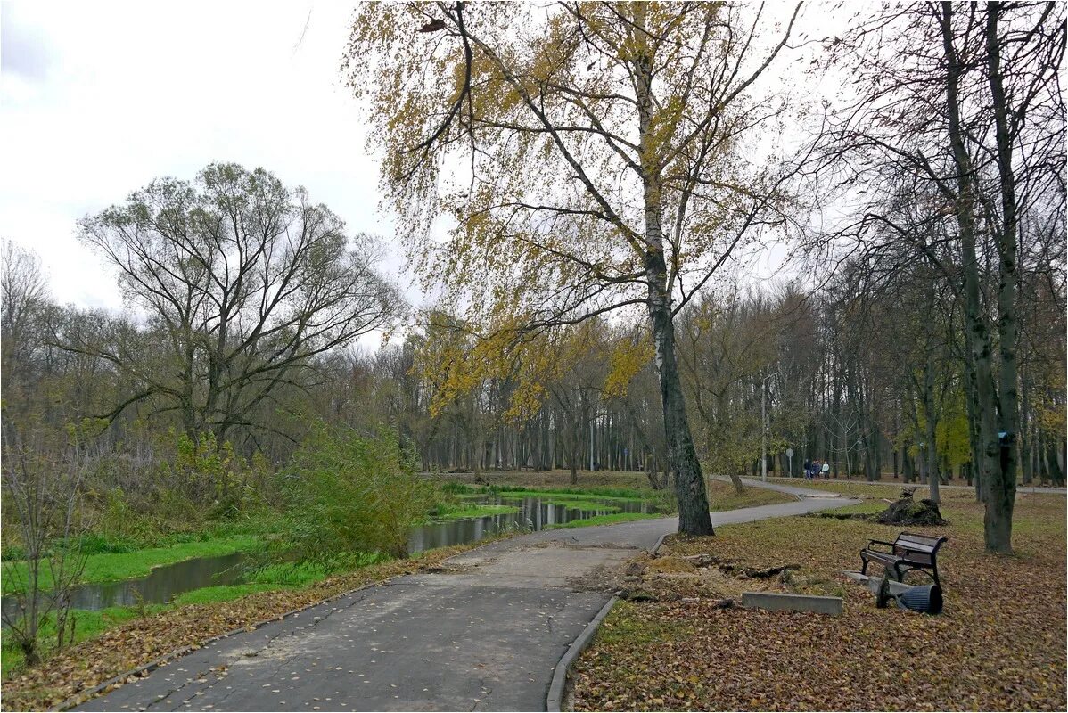 Парк баташи тула фото foto-tula.ru - ФотоТула. Георгий Сидоров. Хмурая осень в Баташах