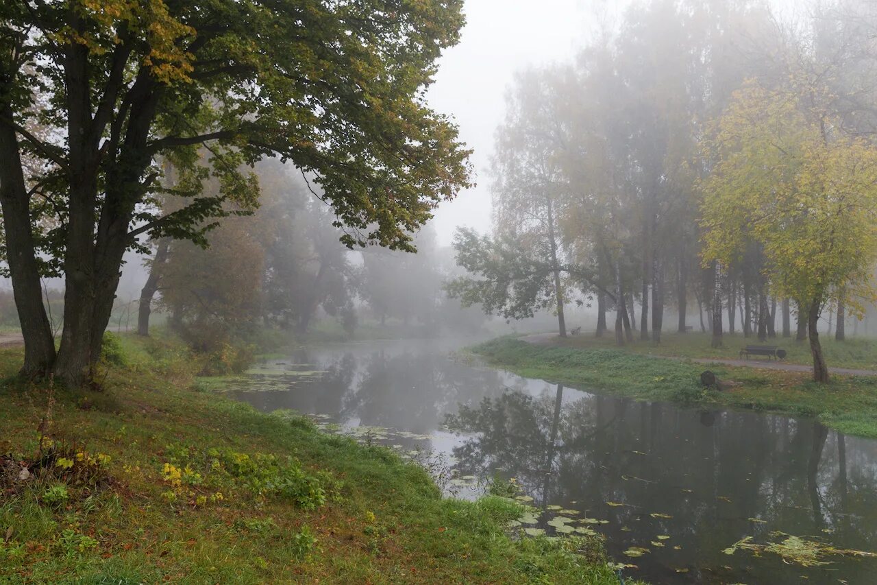Парк баташи тула фото foto-tula.ru - ФотоТула. Виктор Дронов. Туманное утро в Баташевском парке